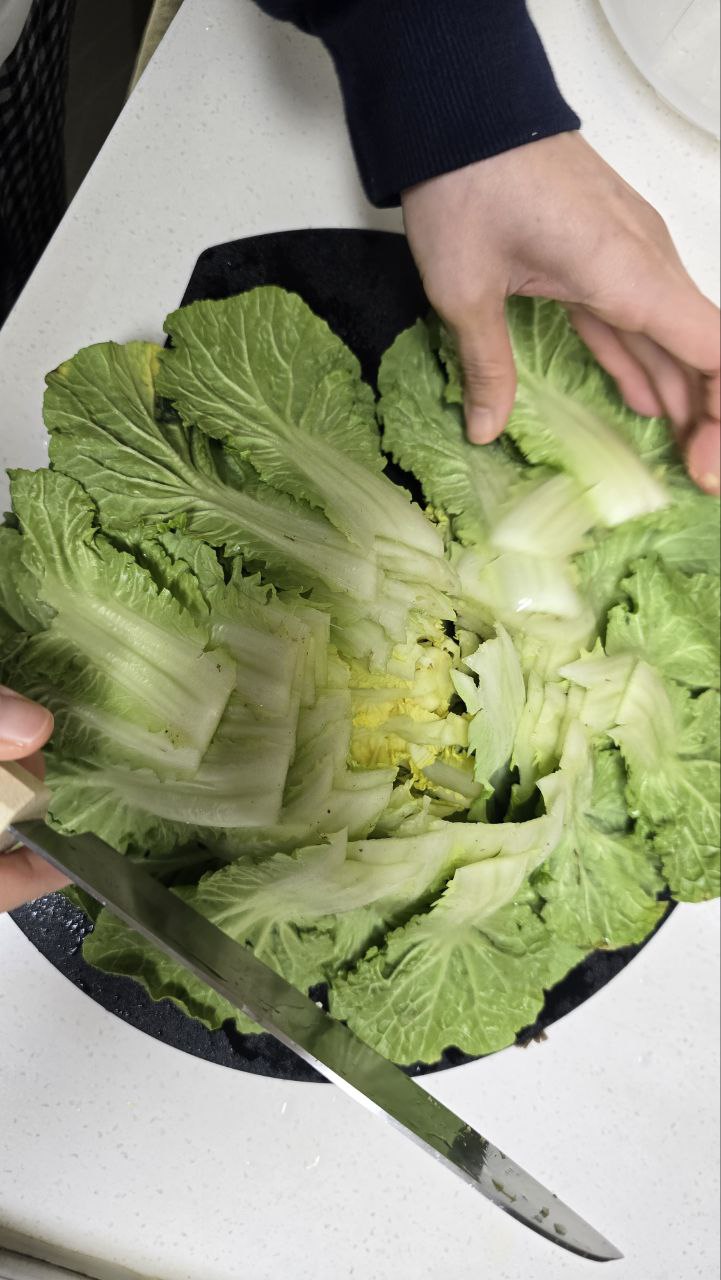 봄동 잎 분리 후