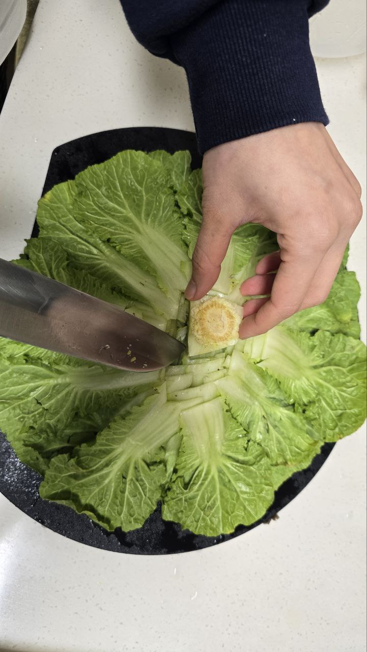 봄동 밑동 잘라내기